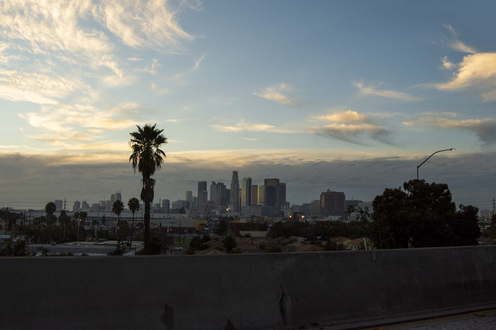 The skyline of downtown Los Angeles, with palm trees in the foreground.